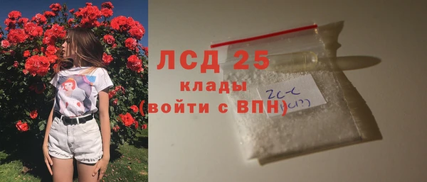 индика Волоколамск
