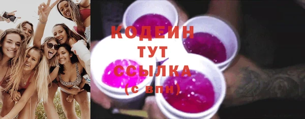 индика Волоколамск