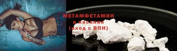 индика Волоколамск