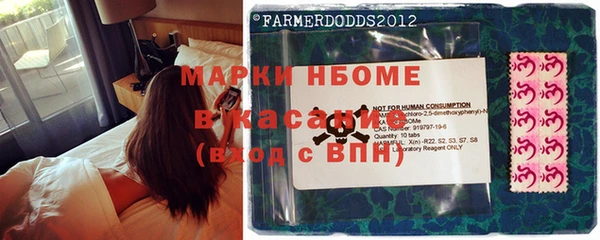 индика Волоколамск