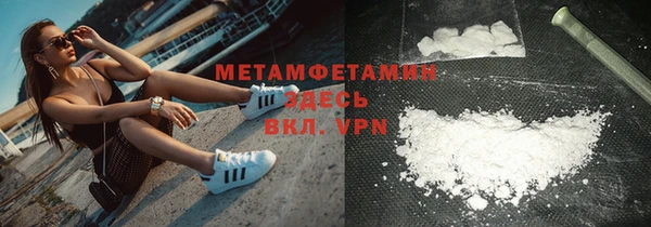 индика Волоколамск