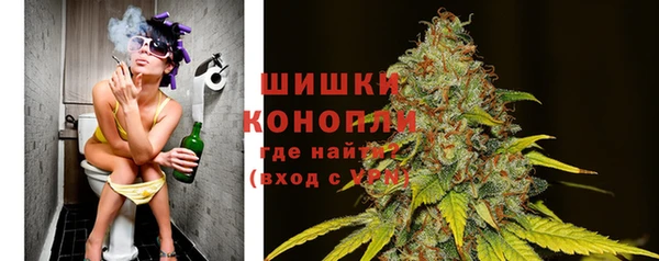 индика Волоколамск