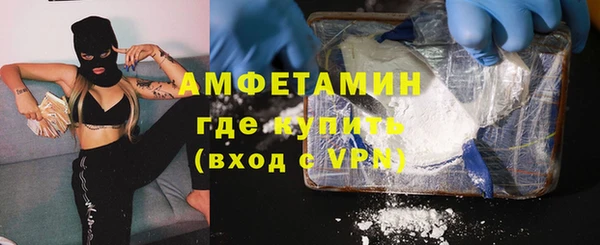 индика Волоколамск