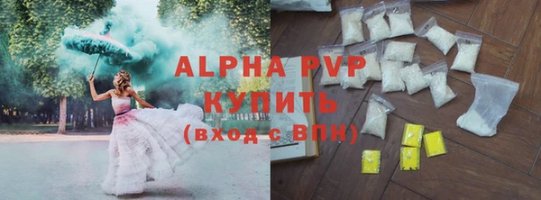 индика Волоколамск