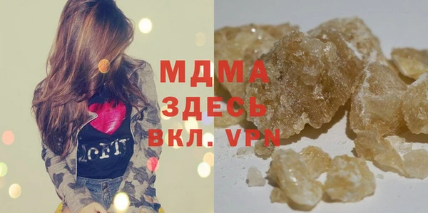 индика Волоколамск