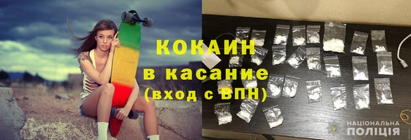 индика Волоколамск