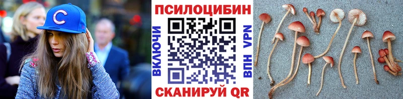 Галлюциногенные грибы Magic Shrooms  Ногинск 